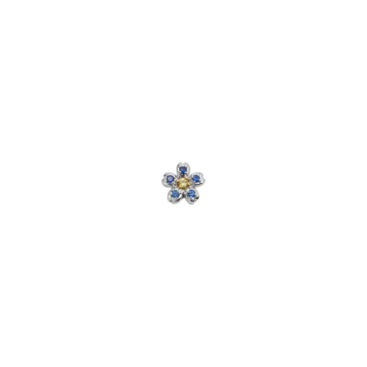Blue Flower