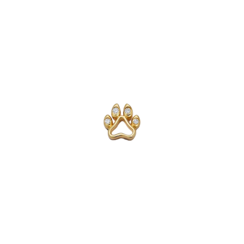 Dog Paw