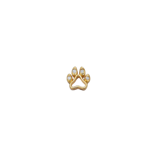 Dog Paw